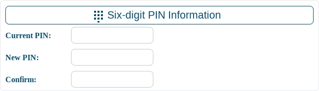 Screenshot of the PIN Details Section